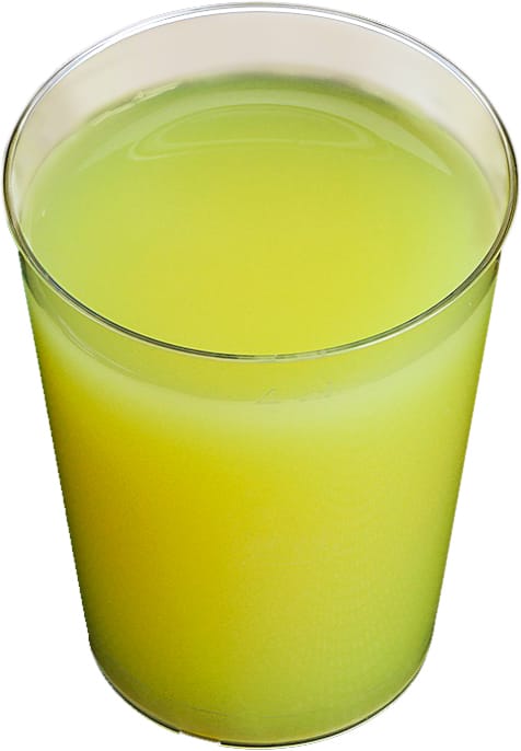 Inkiväärishotti