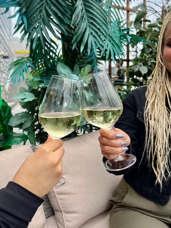 Talon valko- tai punaviinipullo