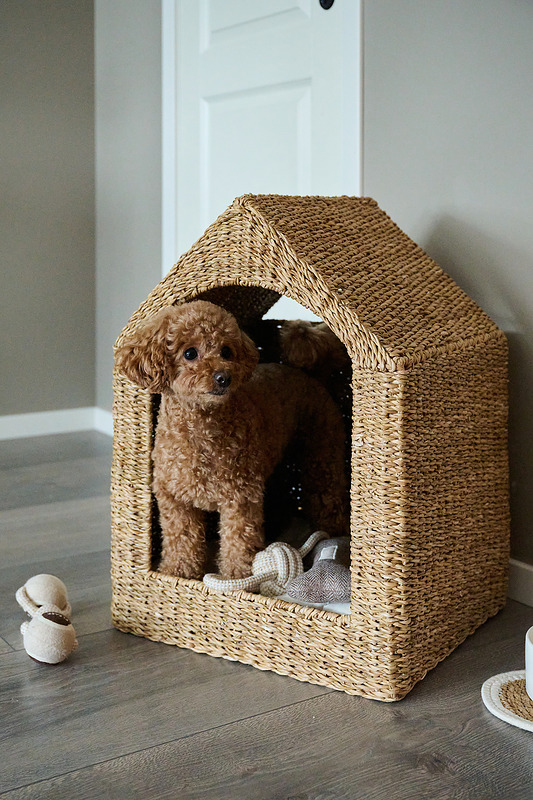 Kissojen ja koirien tuotteet